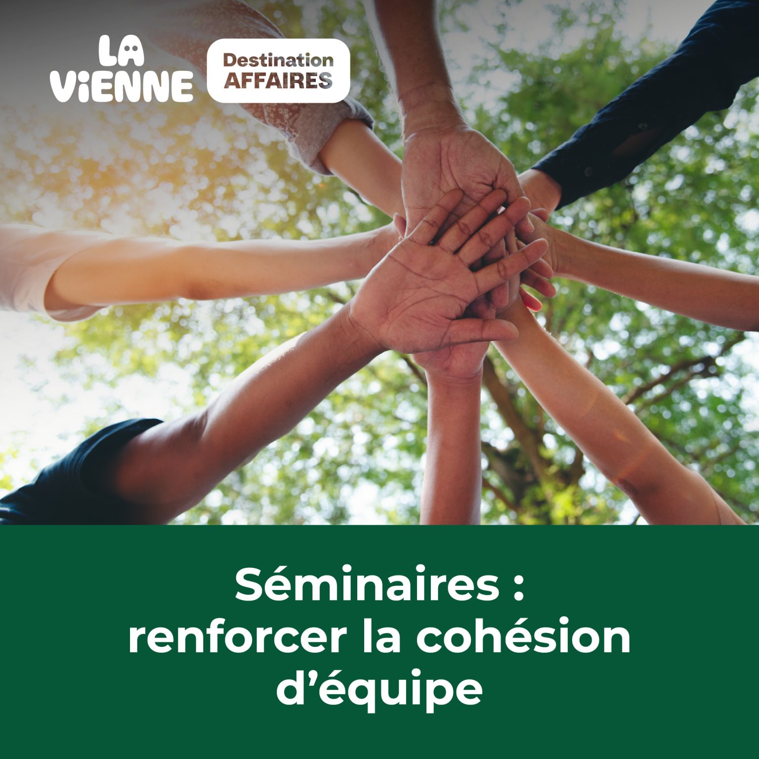 Séminaire : êtes-vous plutôt compétition, aventure ou coopération ? - Actualité tourisme d'affaires en Vienne - LVDA